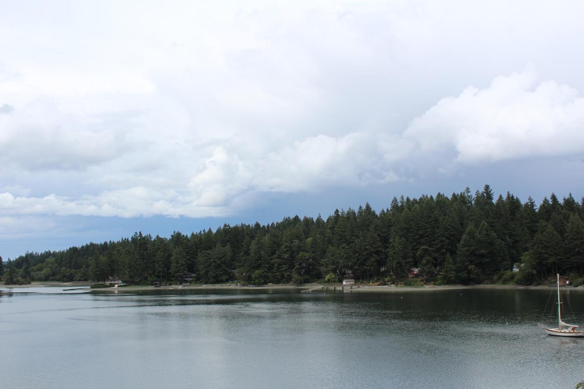 Oyster Bay Inn & Suites Bremerton Quarto foto